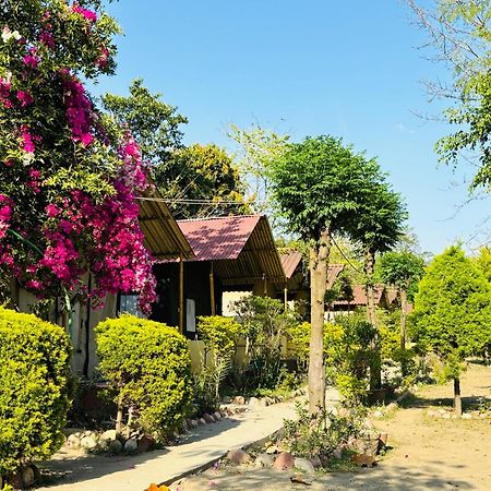 Camp High 5 Jayalgarh Hotel Dāngchura Eksteriør billede