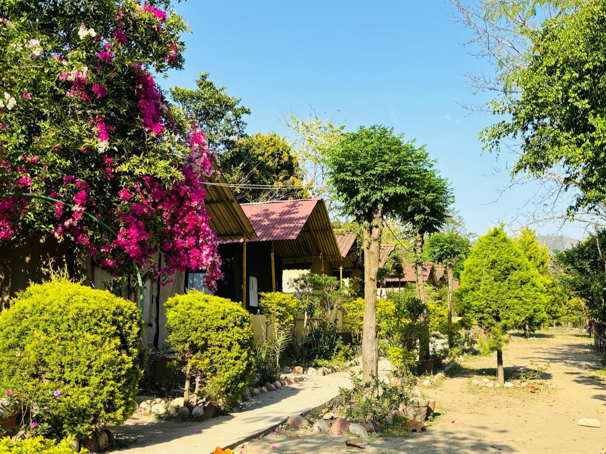 Camp High 5 Jayalgarh Hotel Dāngchura Eksteriør billede