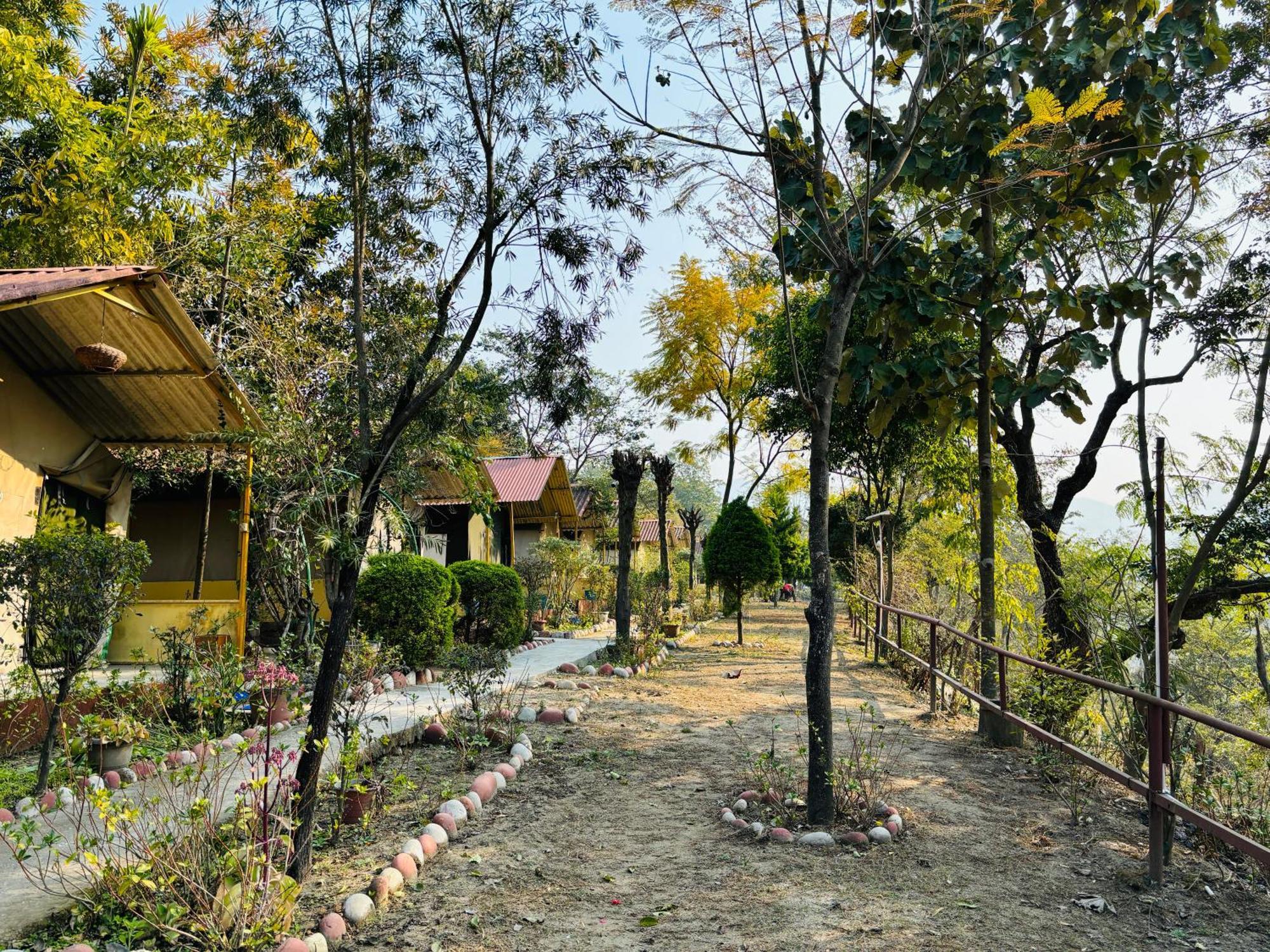 Camp High 5 Jayalgarh Hotel Dāngchura Eksteriør billede